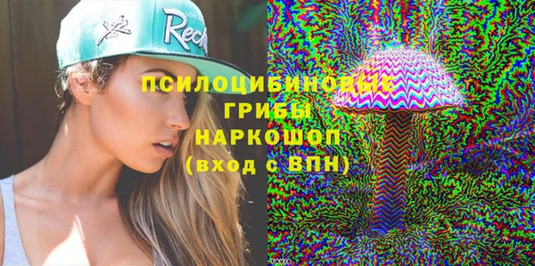 ПСИЛОЦИБИНОВЫЕ ГРИБЫ Верхний Тагил