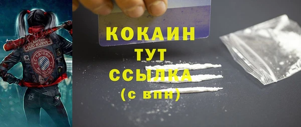 ПСИЛОЦИБИНОВЫЕ ГРИБЫ Верхний Тагил